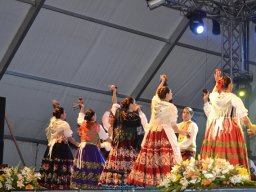 Festival de Folkore en Mula